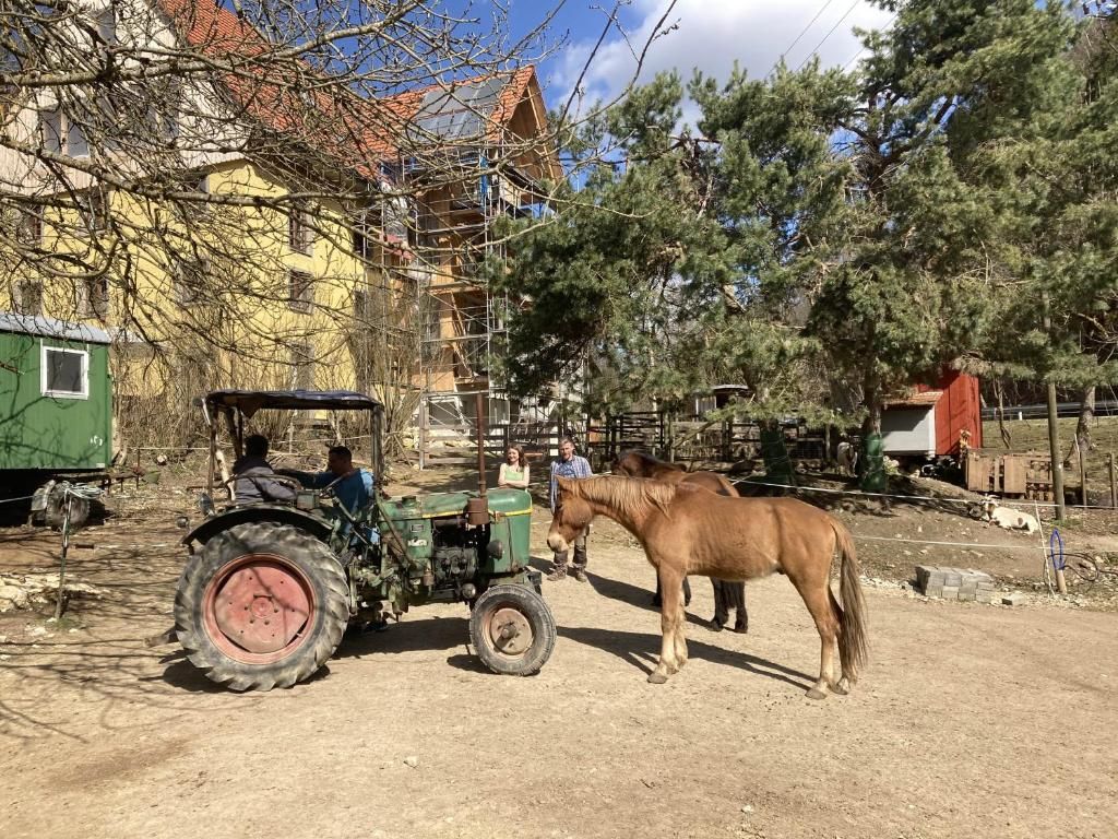 Ferienwohnung Dachsmühle - Natur und Tiere - Toll für Kinder und Wanderer
