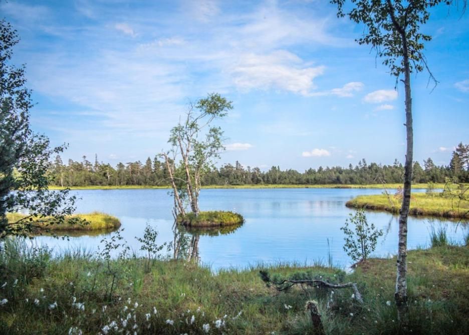 Ferienwohnungen am Enzufer