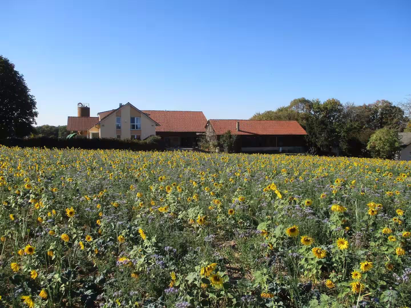 Ferienhof Obertor Heuboden