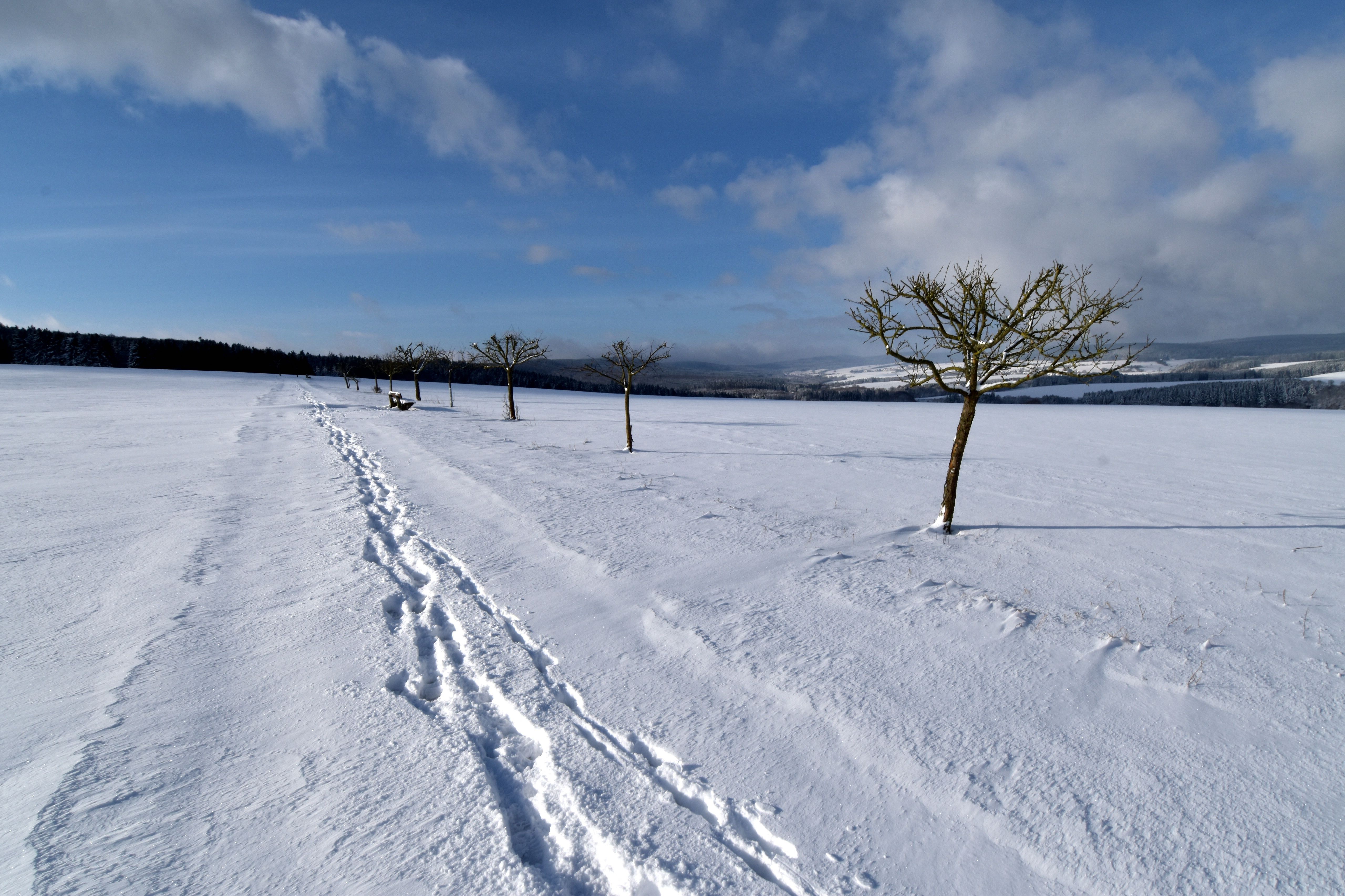 Landhaus SoonZauber - Charmantes Ferienhaus mit moderner Ausstattung