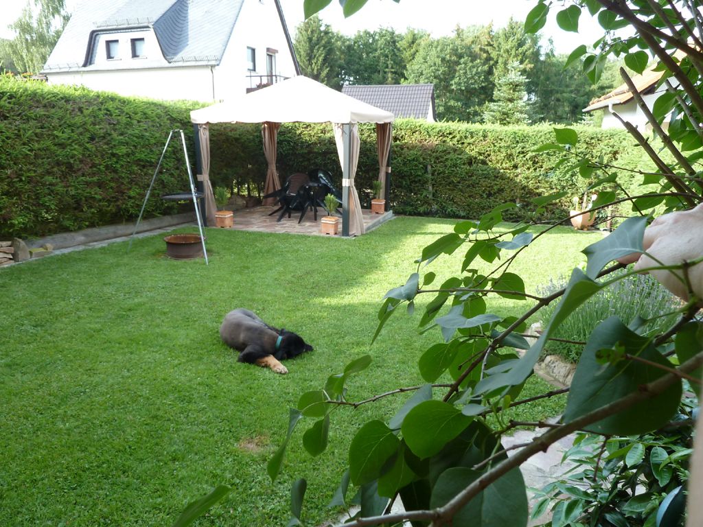 Ferienwohnung Feenhaus * Urlaub im Hunsrücker Idarwald