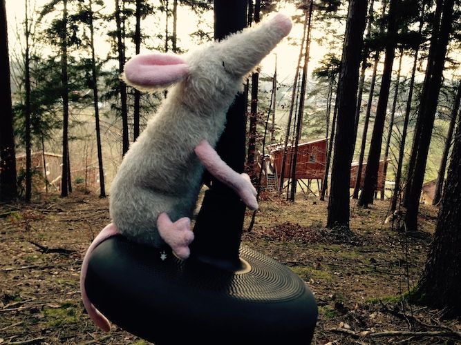 Baumpalast Baumhaushotel Rosenberg