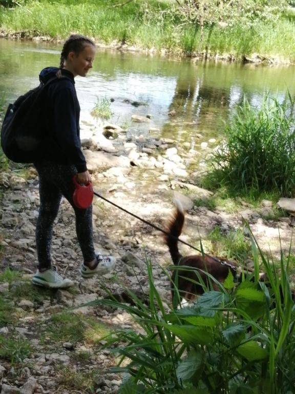 Ferienwohnungen Waldmann