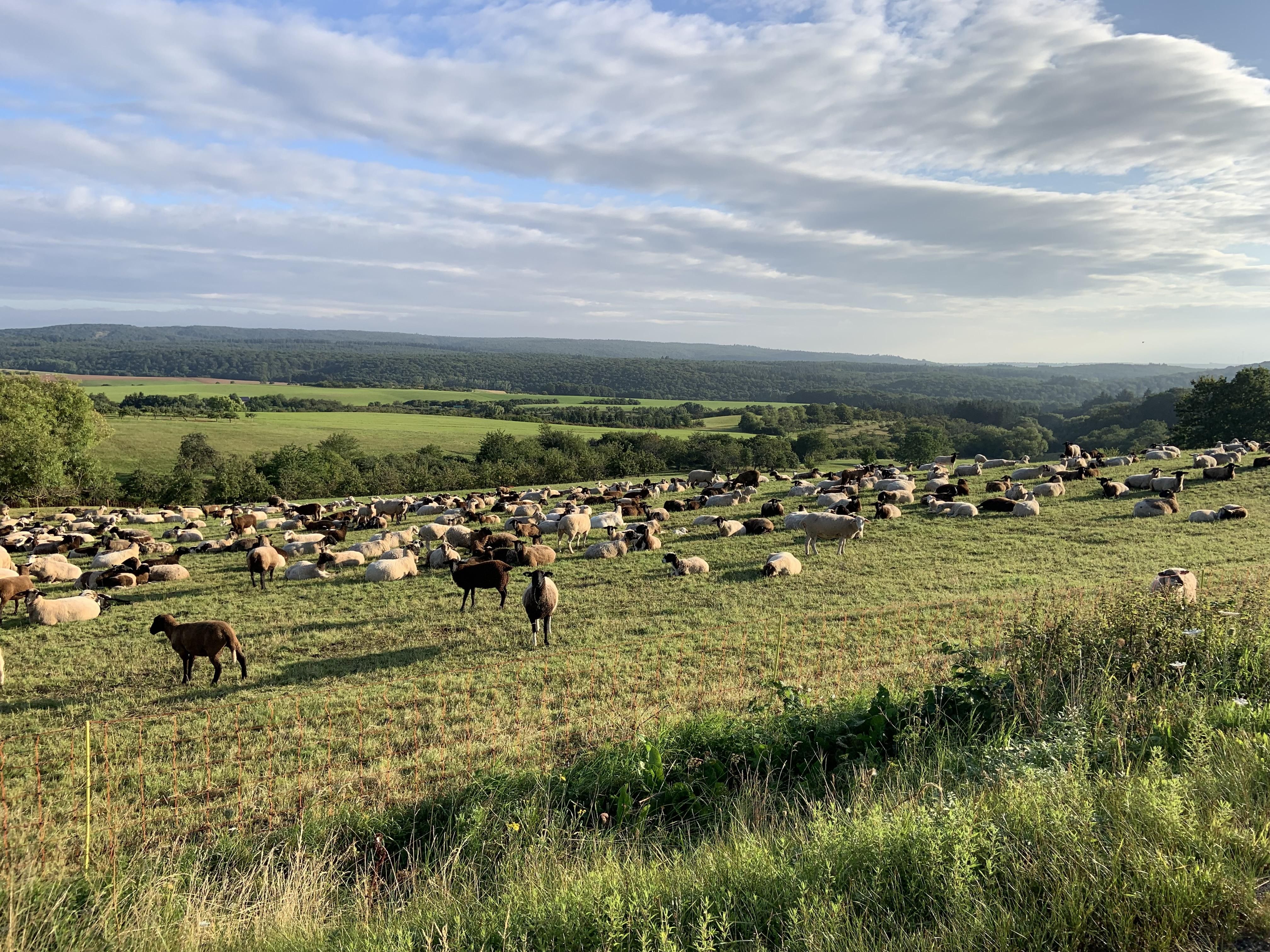 Ferienhaus am Häferbach