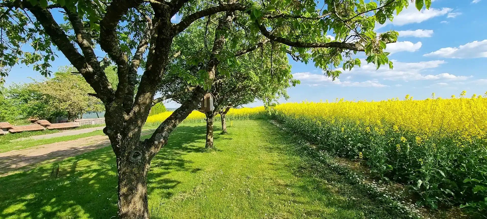 Ferienhaus Kurt - Kurt’s Heisje