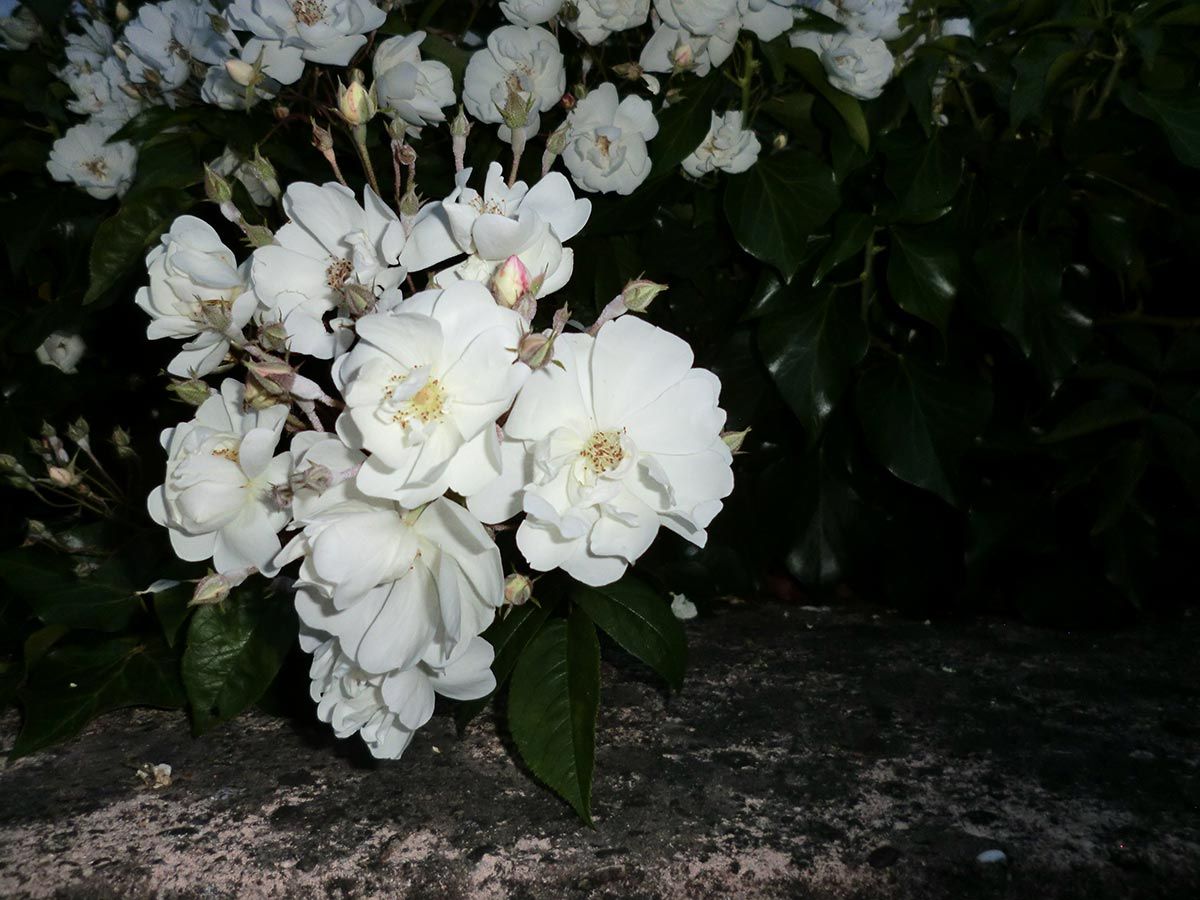 Ferienwohnung Seetalblick