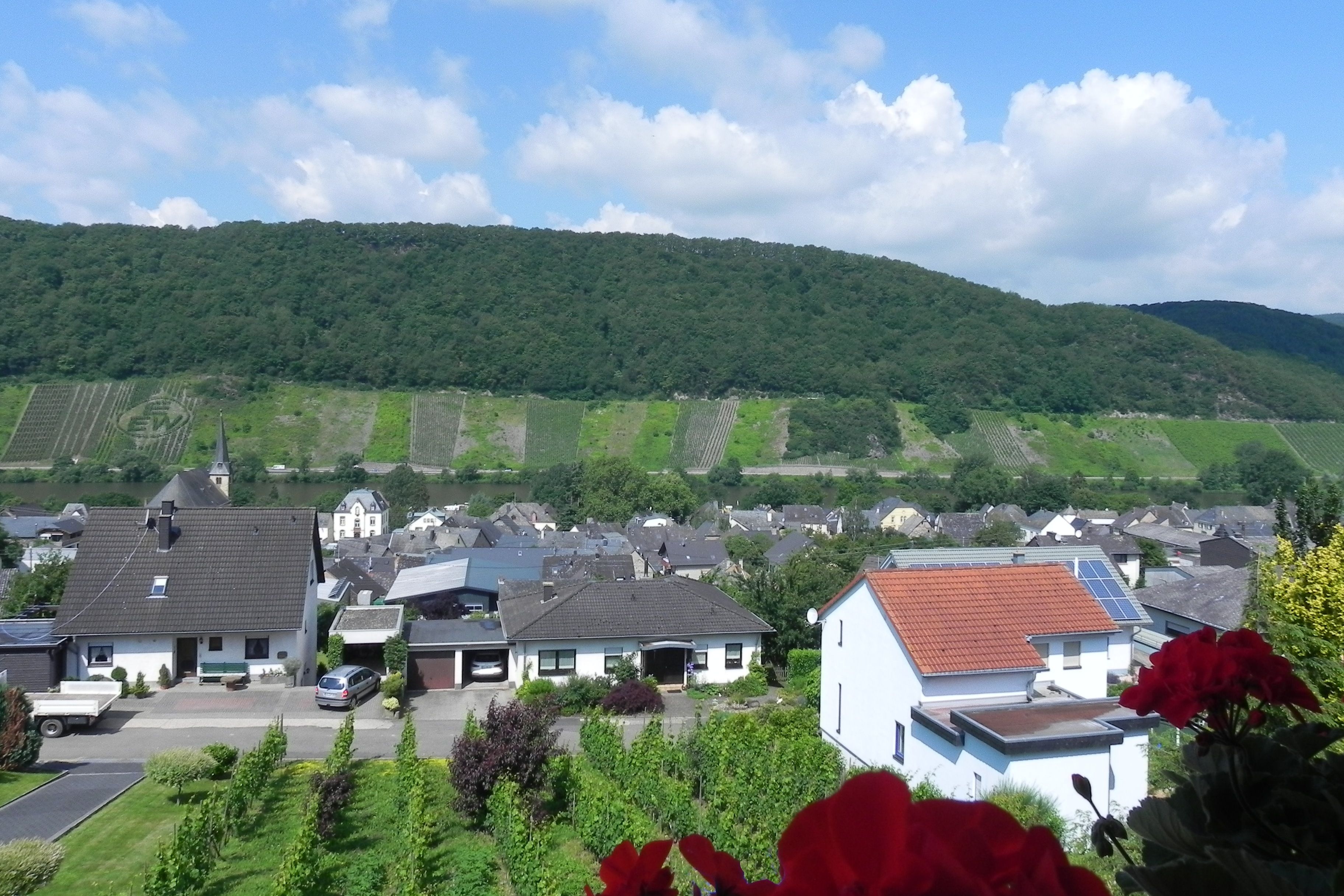 Blick auf die Mosel und Neumagen FEWO NR 12 Traumblick