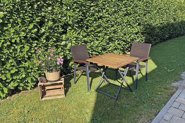 Weingut-Ferienwohnung Willems