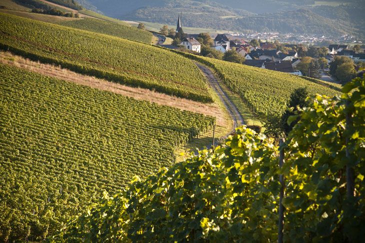 Weingut-Ferienwohnung Willems