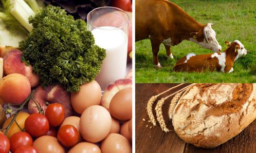 Gasthof zum Löwen Enzklösterle