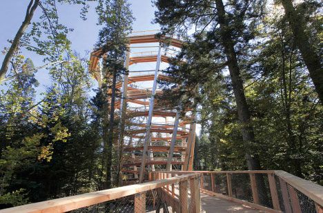 Gasthof zum Löwen Enzklösterle