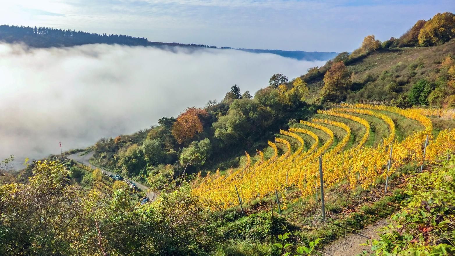 Ferienwohnung Zum Moselsteig