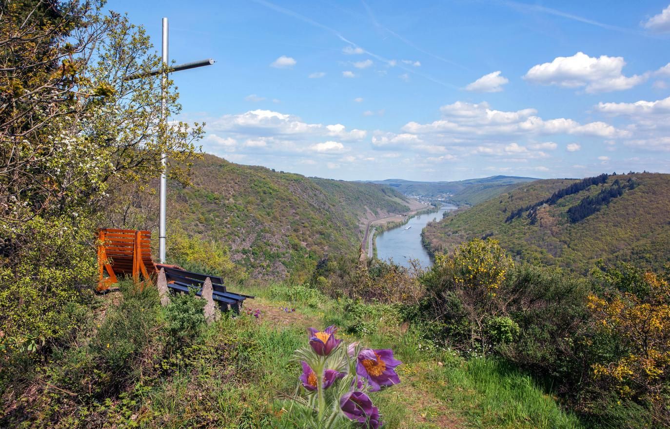Ferienwohnung Zum Moselsteig
