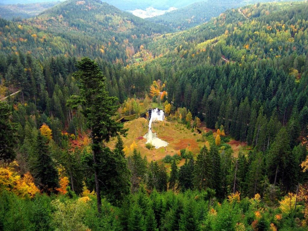 Ferienwohnung Landhaus Seiler