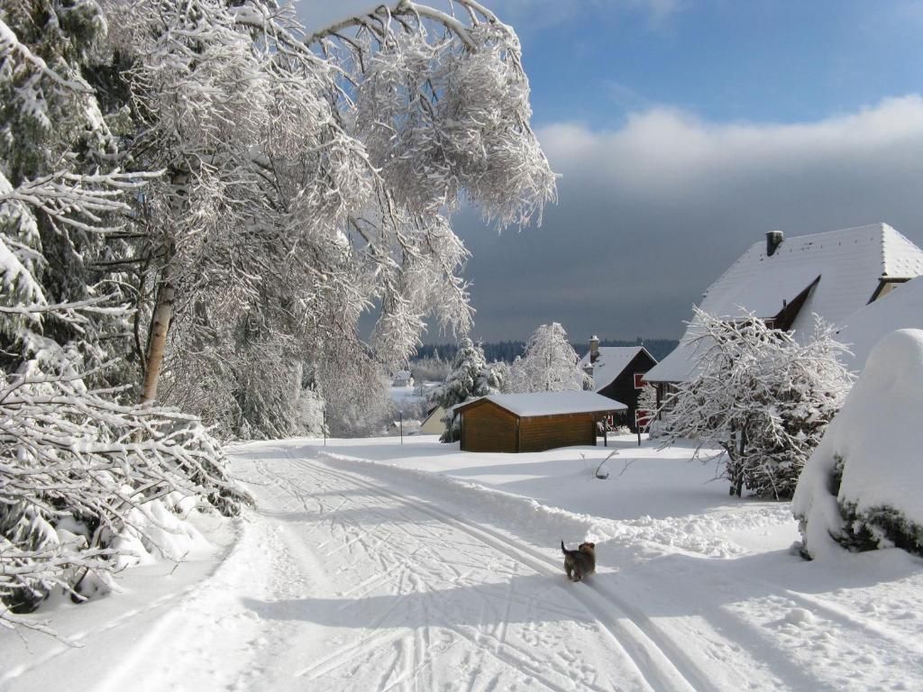 Ferienwohnung Landhaus Seiler