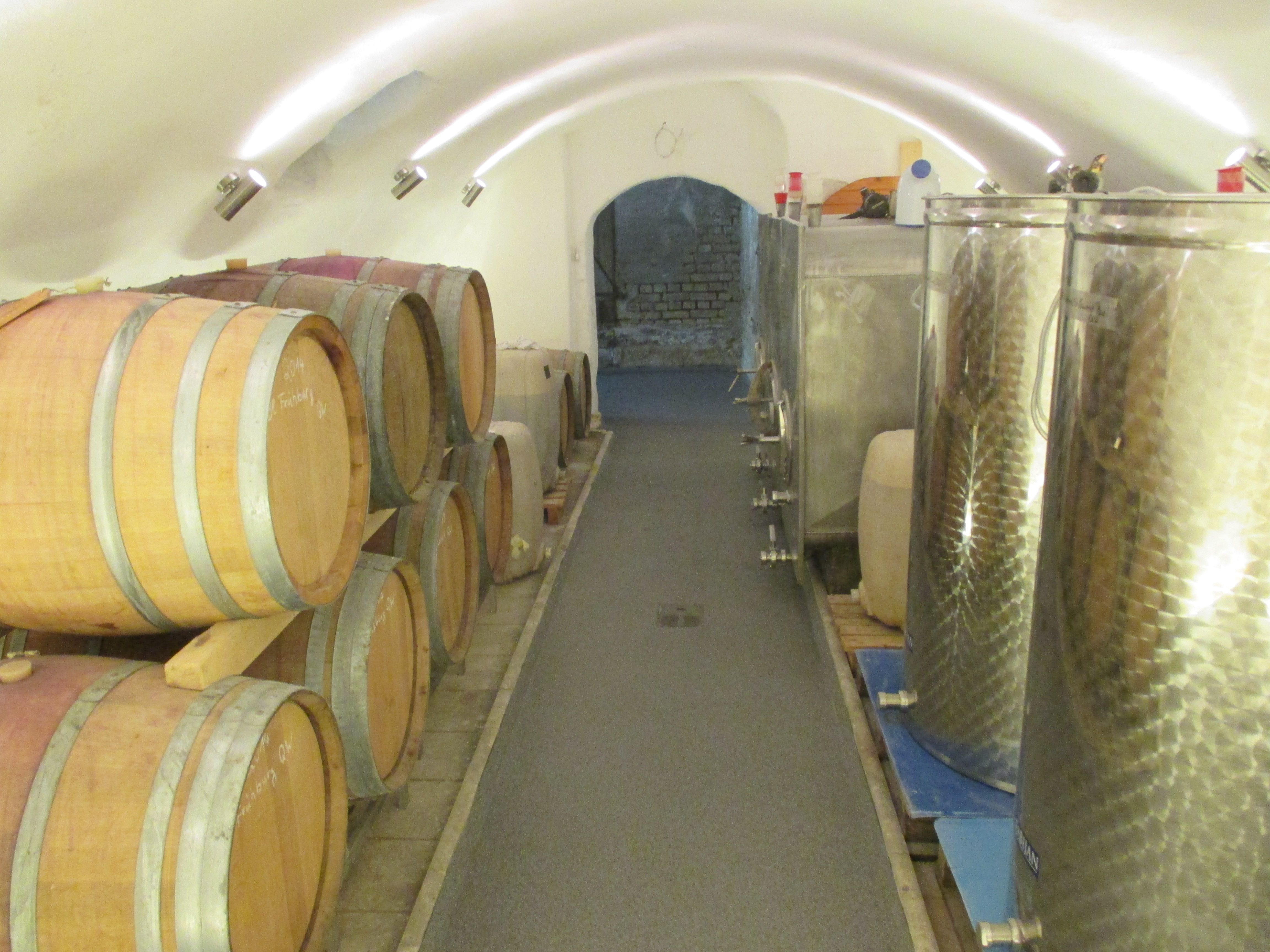 Weinkeller 2