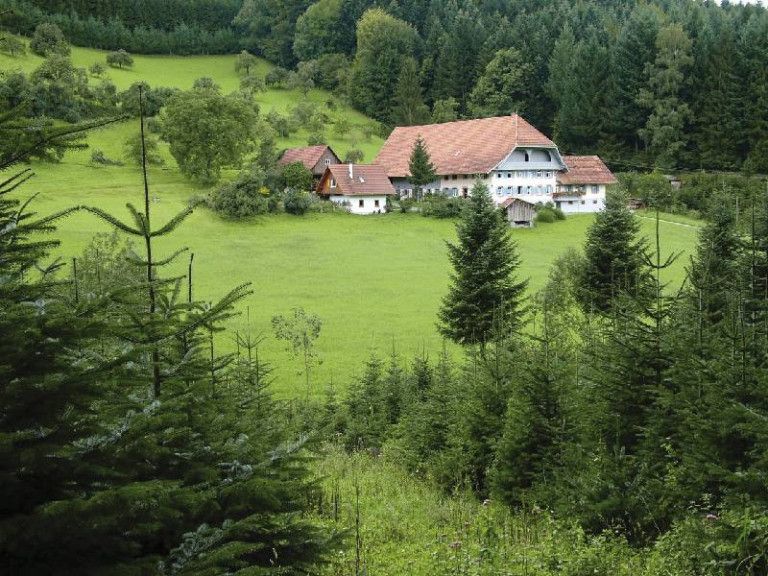 Ferienhaus Schreilegrundhof