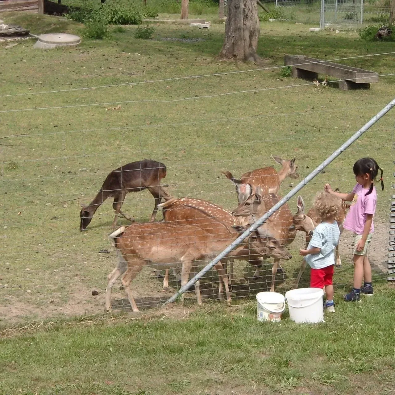 Hotel Marienthaler Hof