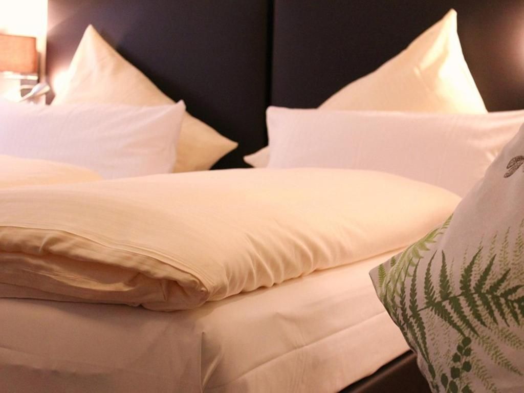 Baum's Rheinhotel