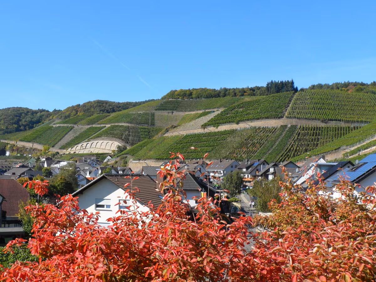 Ferienwohnung Dernau