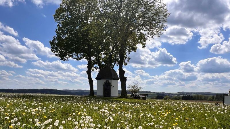 Ahrliebe - Ihrferienzuhause