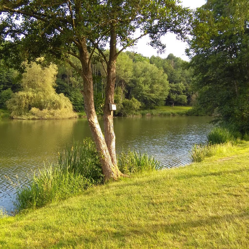 Campingplatz Hauserbachsee