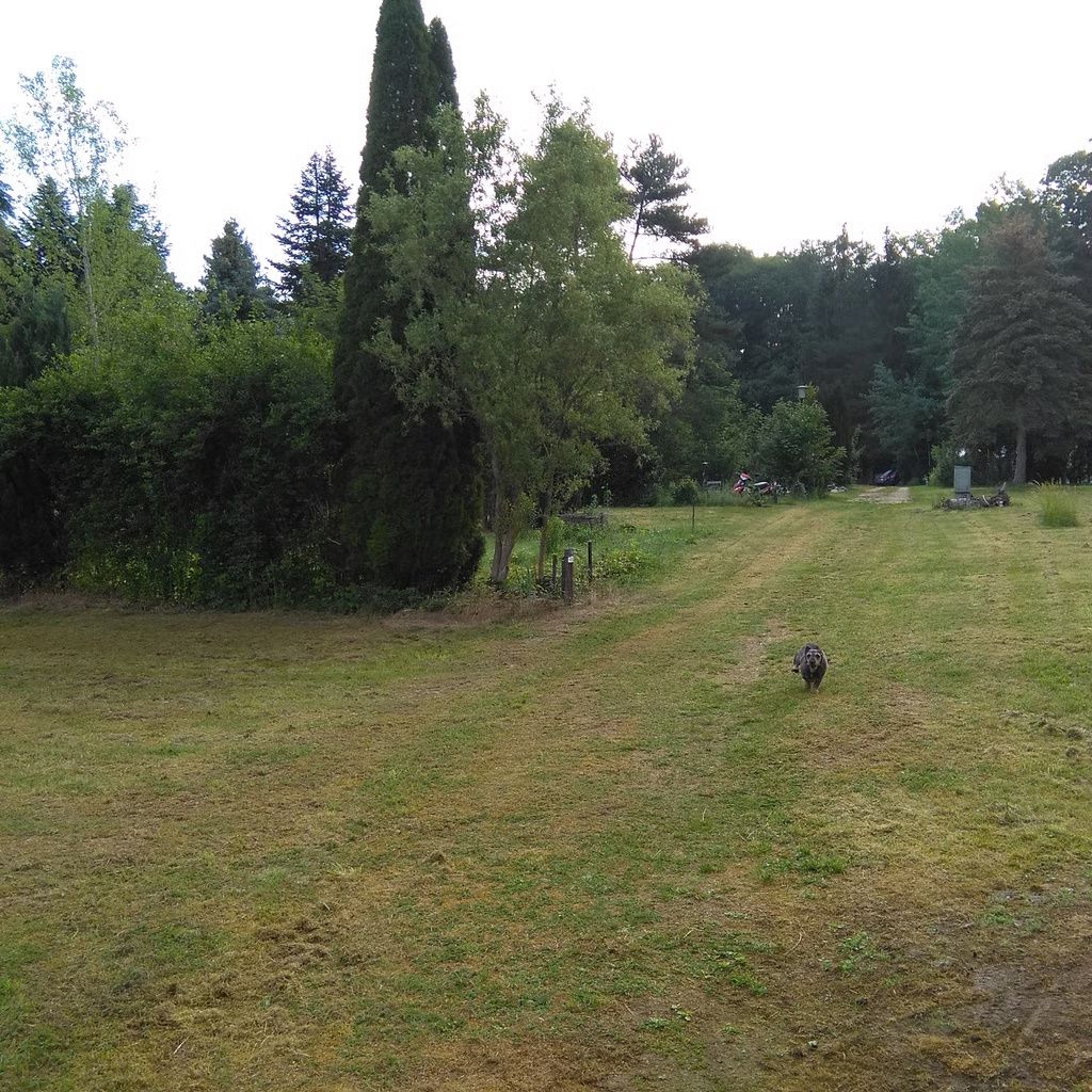 Campingplatz Hauserbachsee