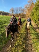 Western - Erlebnis - Reitwochenende
