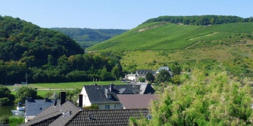 Urlaub an der Mosel, Nähe Bernkastel-Kues, Ideal für Radfahrer u. Wanderer, Kultururlaub 