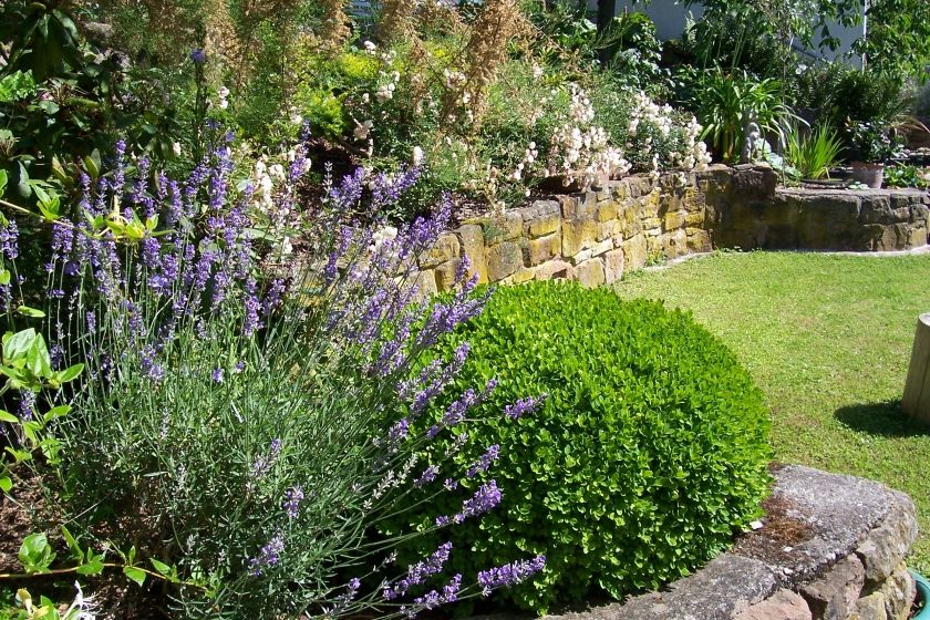 Gartenanlage