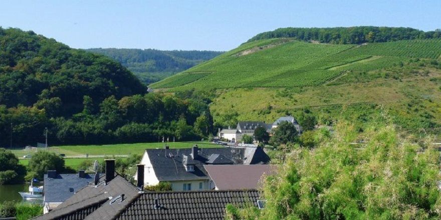 Urlaub an der Mosel, Nähe Bernkastel-Kues, Ideal für Radfahrer u. Wanderer, Kultururlaub 