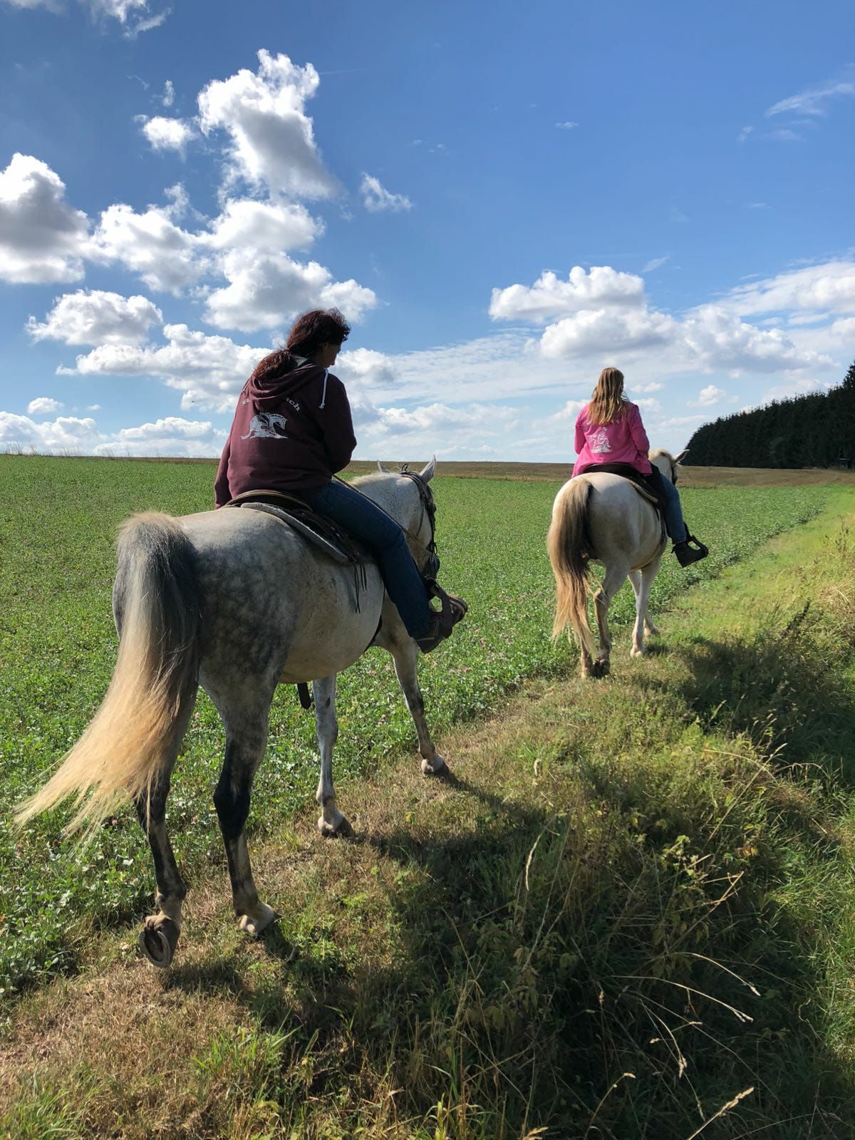Western - Erlebnis - Reitwochenende