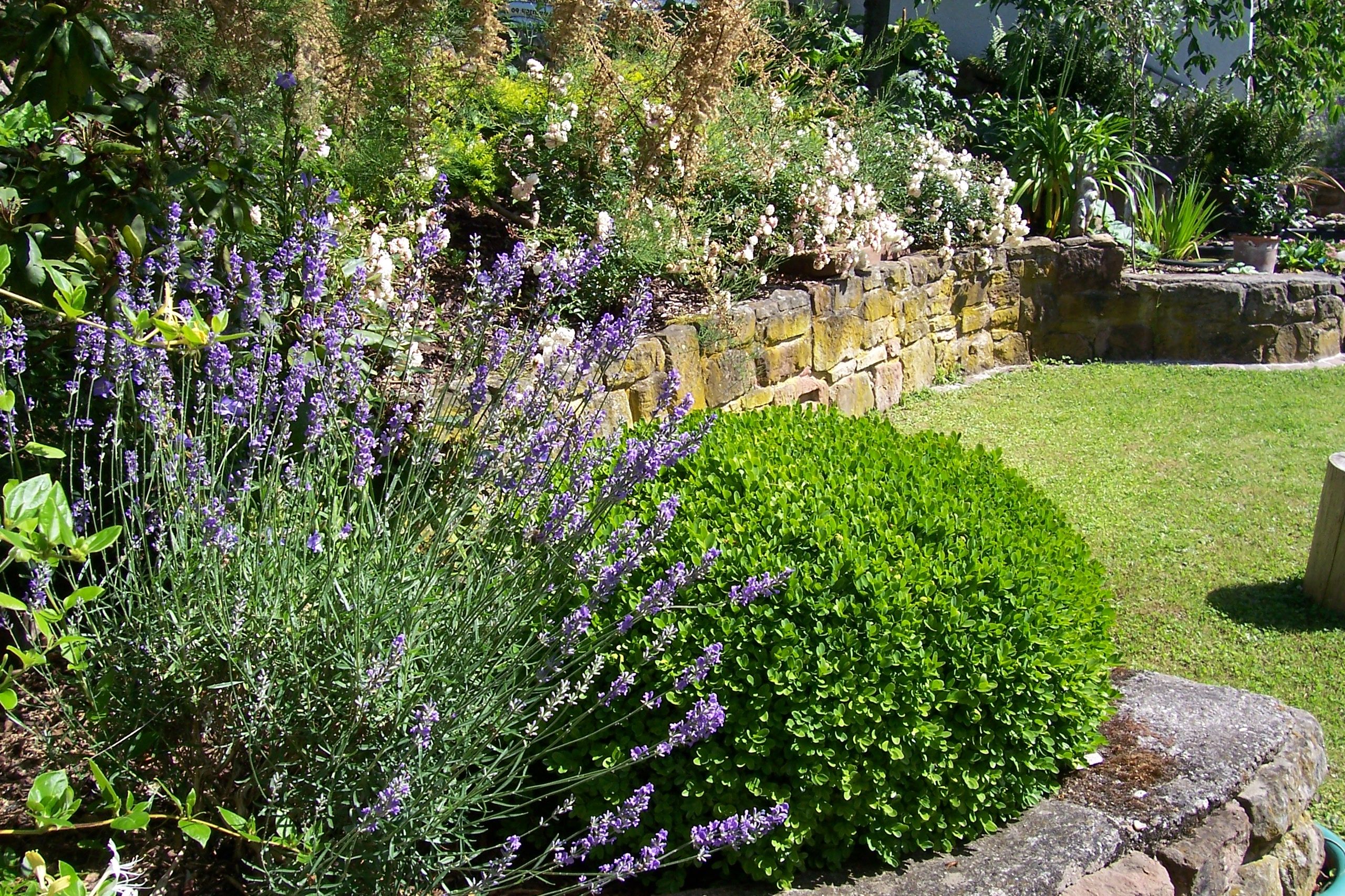 Gartenanlage