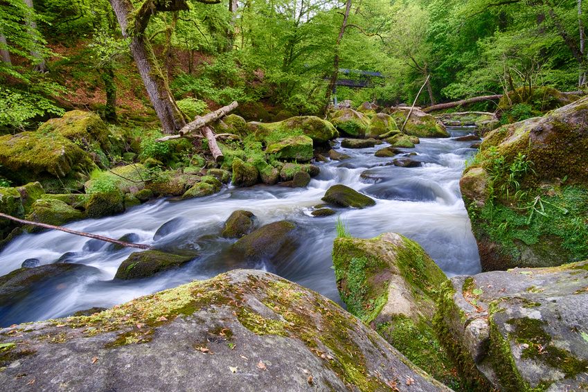 Hotels, Campingplätze und Ferienwohnungen in der Region Südeifel