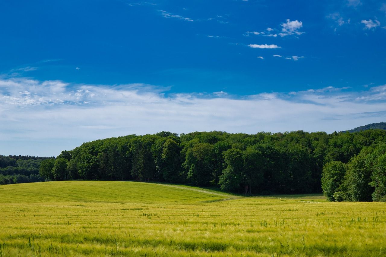 Hotels, Campingplätze und Ferienwohnungen in Katzenelnbogen