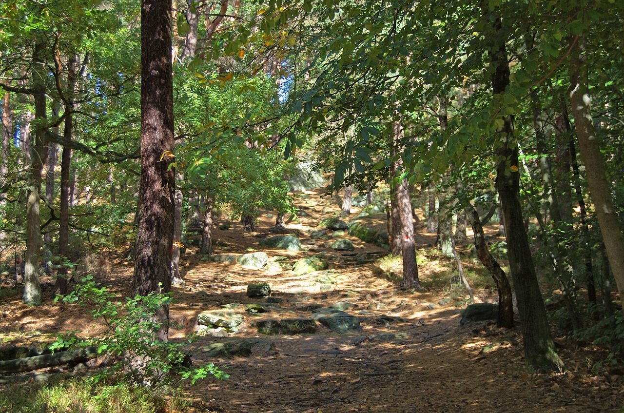 Hotels, Campingplätze und Ferienwohnungen in Fischbach bei Dahn