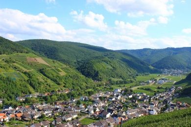 Dernauer Weinfrühling