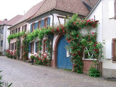 Heimat- und Blütenfest in Rhodt unter Rietburg