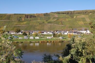 Weinfest in Klüsserath