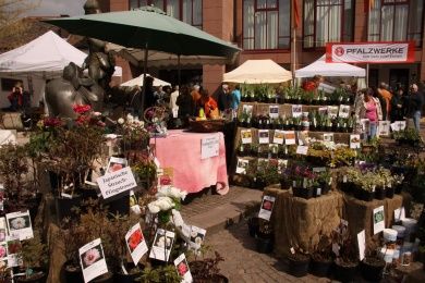 Garten- und Pflanzenmarkt Edenkoben