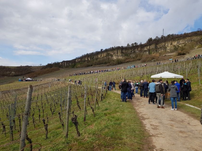 Veranstaltungen in Konz und Umgebung