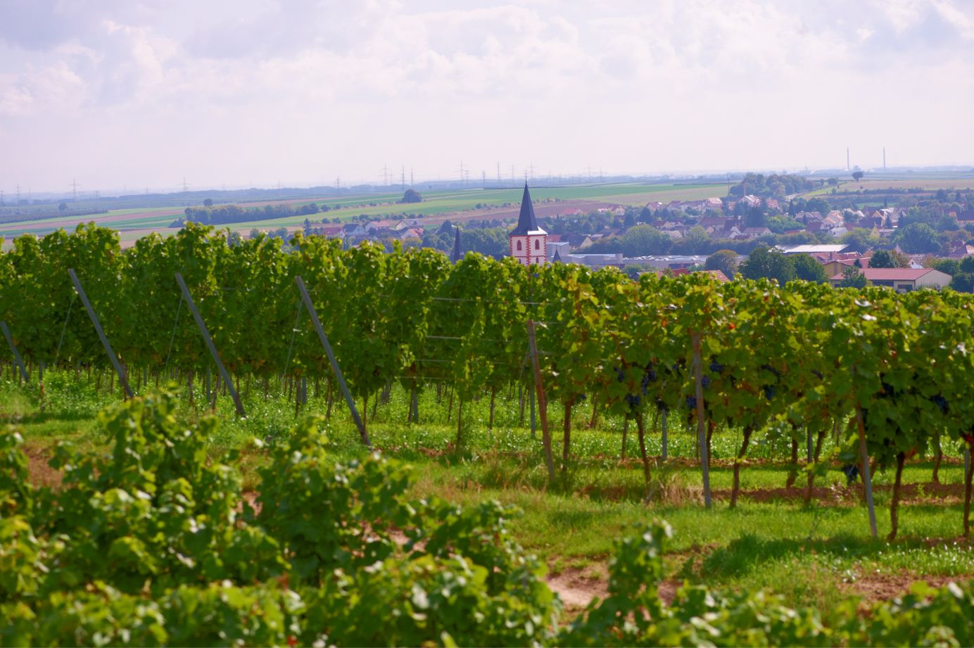 Veranstaltungen im Wonnegau