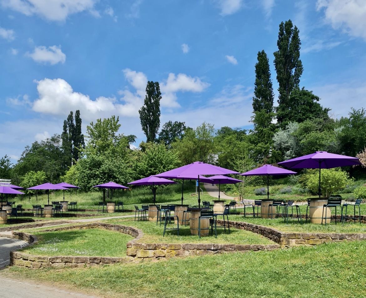 Musik im Biergarten mit Paddi