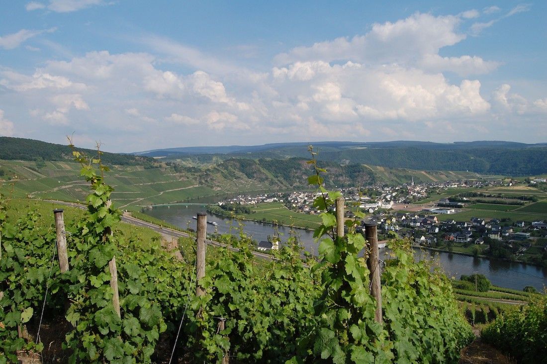 Römisches Kelterfest in Piesport