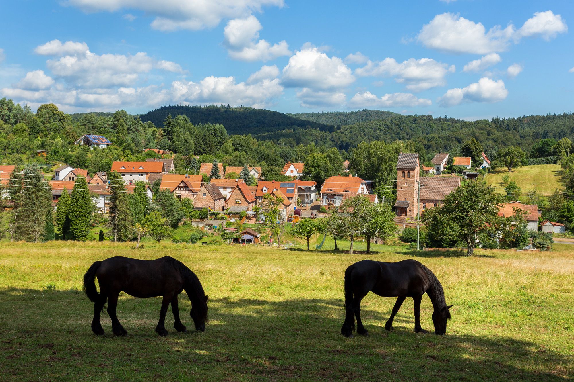 Wiligartatage in Wilgartswiesen