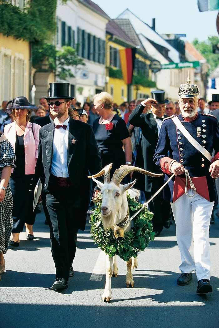 Lambrechter Geißbock-Kerwe