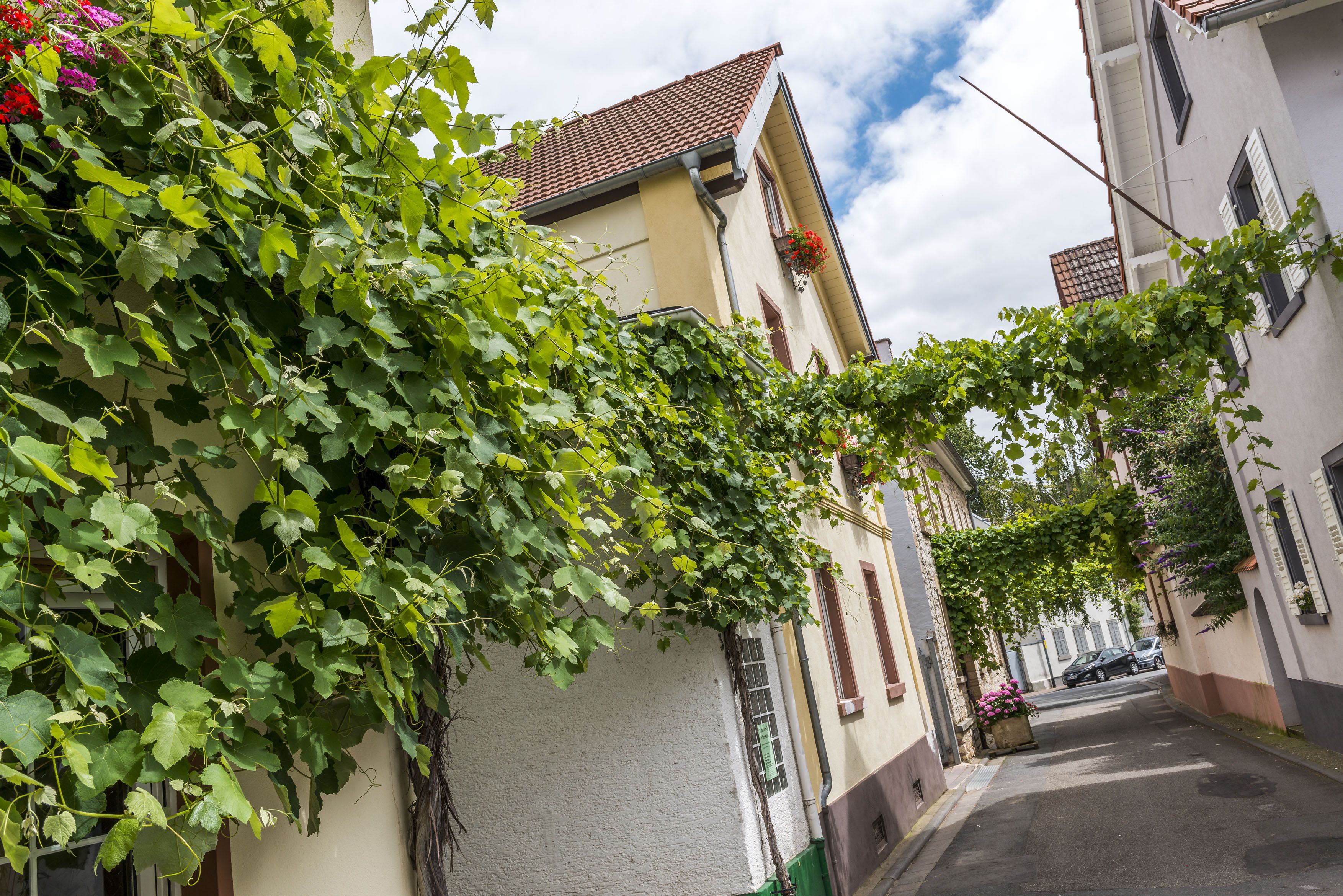Veranstaltungen in der Ferienregion Rhein-Selz