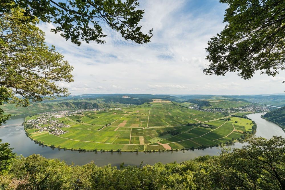 Moselloreley in Flammen