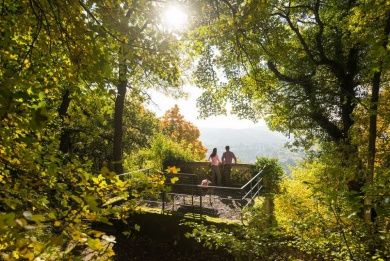 Traumschleife Nahe-Felsen-Weg 