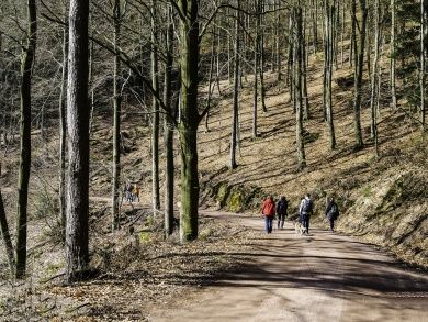 Leininger Klosterweg